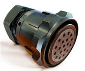 Fiche 419 femelle avec bague 