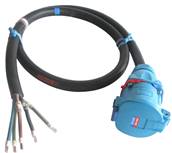 Epanoui Fiche Femelle  3P+N+T 125A maréchal  DS9 2m