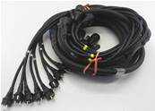 Cable 8 circuits 18G2.5  Epanoui mâle/ femelle cordons moulés 5m