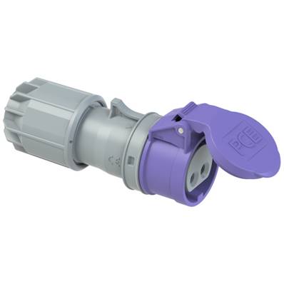 Fiche femelle 2P+T 16A IP44 - 24V - PCE 262-V