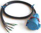 Epanoui Fiche Femelle 3P+N+T 32A  maréchal DS3  2m