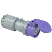 Fiche femelle 2P+T 16A IP44 - 24V - PCE 262-V
